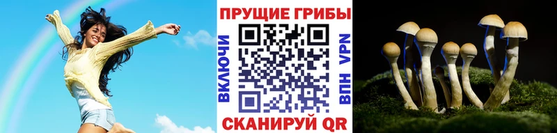 Галлюциногенные грибы Psilocybe  Купить где  Прокопьевск 